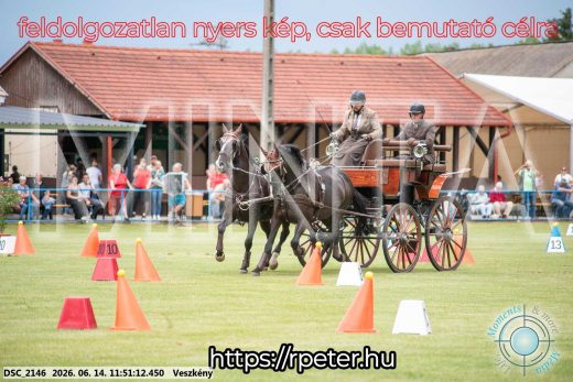 Mintakép 20260614-118
