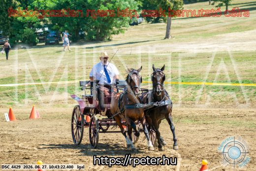 Mintakép 20260627-1666