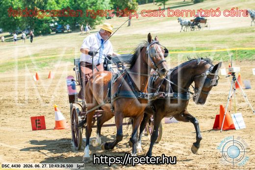 Mintakép 20260627-1667