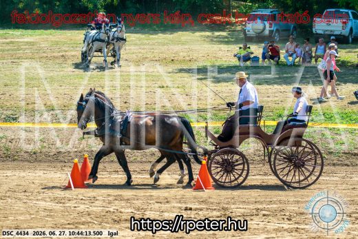 Mintakép 20260627-1669