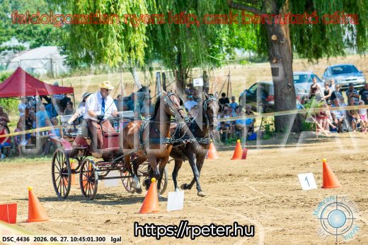 Mintakép 20260627-1670