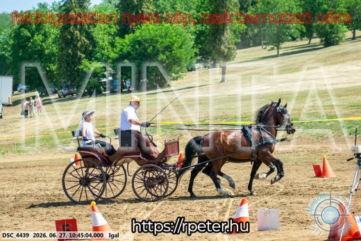 Mintakép 20260627-1672