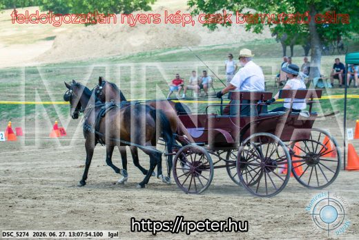 Mintakép 20260627-1674