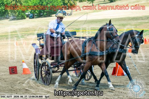 Mintakép 20260627-1676