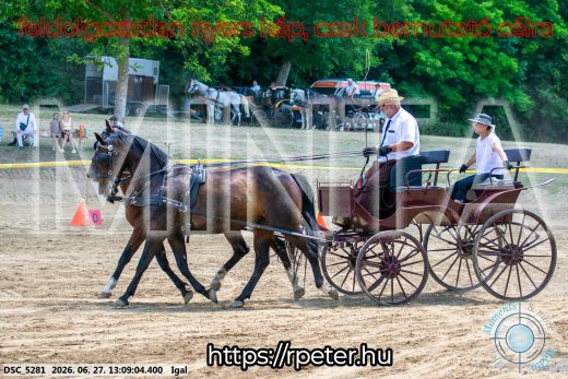 Mintakép 20260627-1679