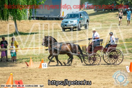 Mintakép 20260627-1681