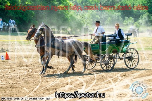 Mintakép 20260627-1691