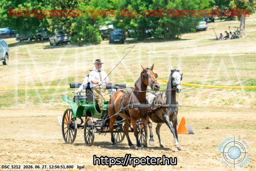 Mintakép 20260627-1698