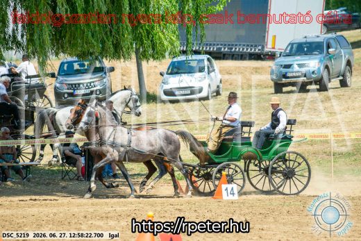 Mintakép 20260627-1703