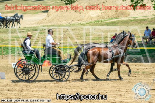 Mintakép 20260627-1707