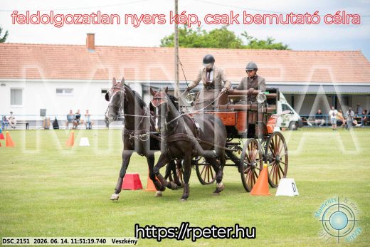 Mintakép 20260614-123