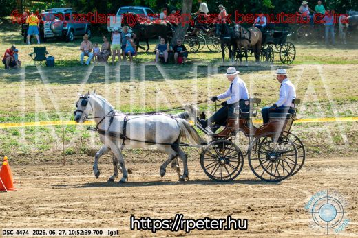 Mintakép 20260627-1731