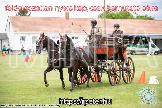 Mintakép 20260614-125