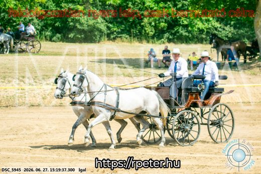 Mintakép 20260627-1748