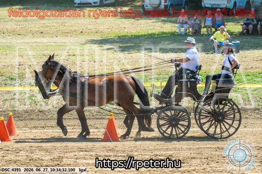 20260627-103432-DSC_4391.jpg