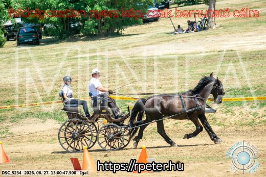 Mintakép 20260627-1770