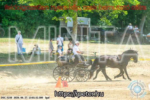 Mintakép 20260627-1772