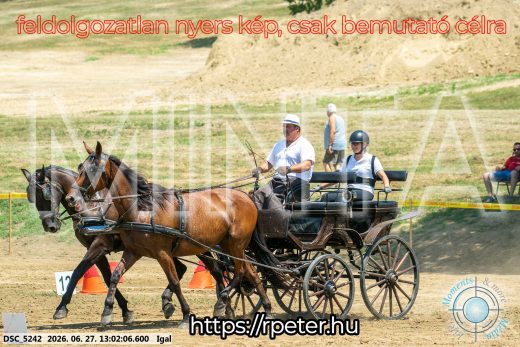 Mintakép 20260627-1774
