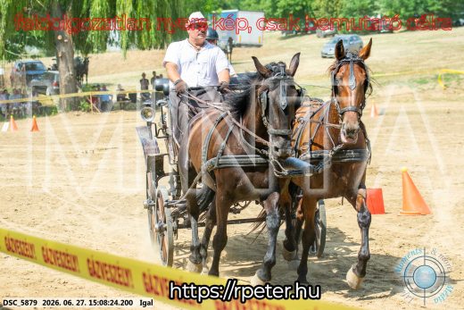Mintakép 20260627-1775