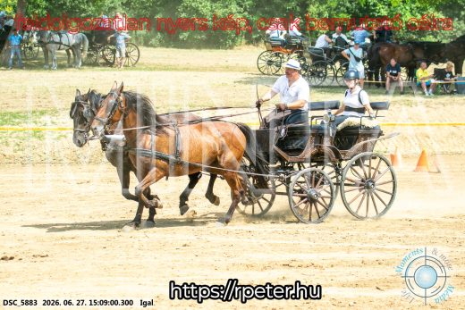 Mintakép 20260627-1777