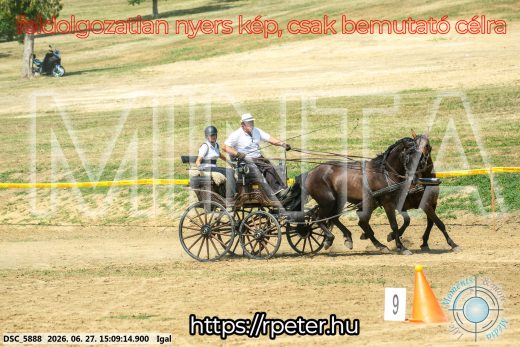 Mintakép 20260627-1781