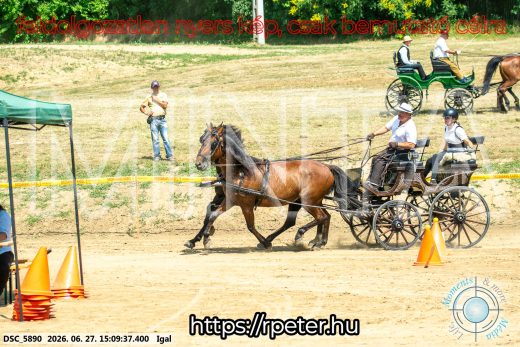 Mintakép 20260627-1783
