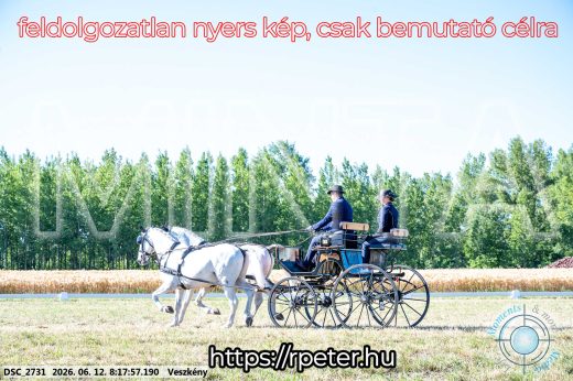 Mintakép 20260612-15
