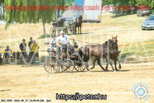 Mintakép 20260627-1785