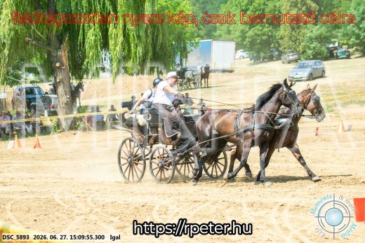 Mintakép 20260627-1786