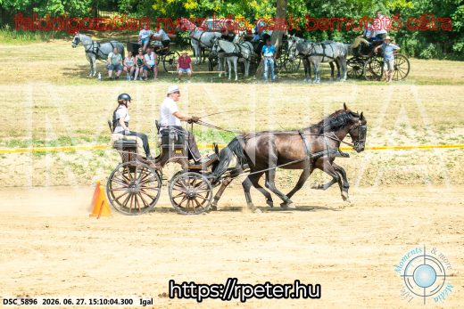 Mintakép 20260627-1789
