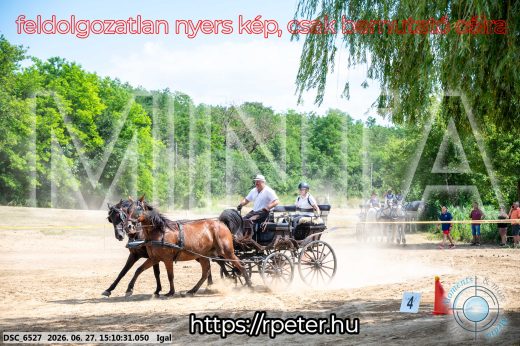 Mintakép 20260627-1792
