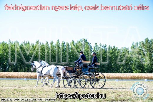 Mintakép 20260612-16