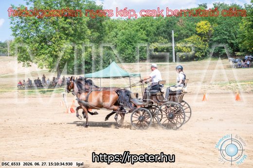 Mintakép 20260627-1795