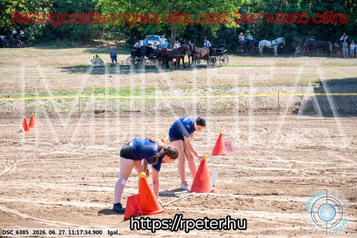 20260627-111734-DSC_6385.jpg