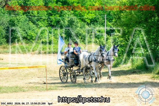 20260627-155025-DSC_6092.jpg