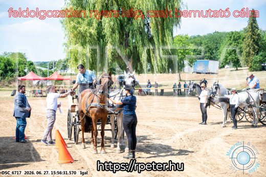Mintakép 20260627-1822