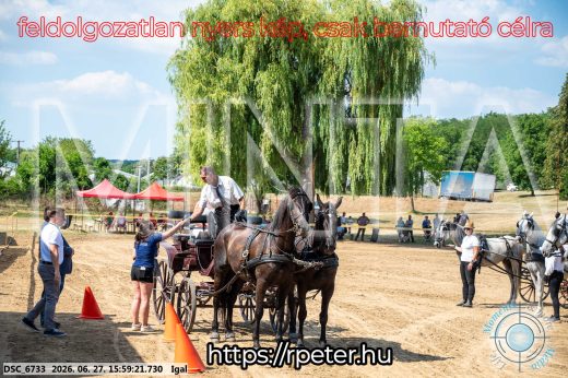 Mintakép 20260627-1837