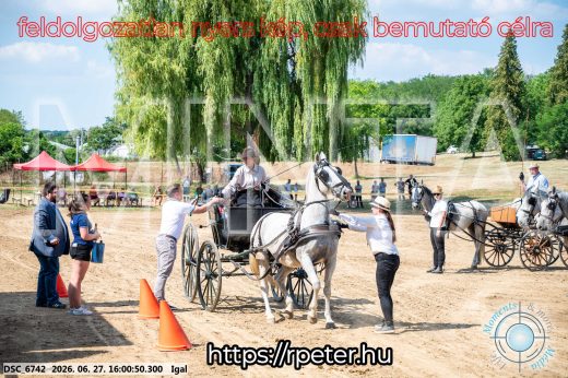 Mintakép 20260627-1845