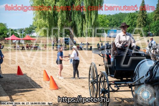 Mintakép 20260627-1847