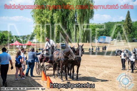 Mintakép 20260627-1860