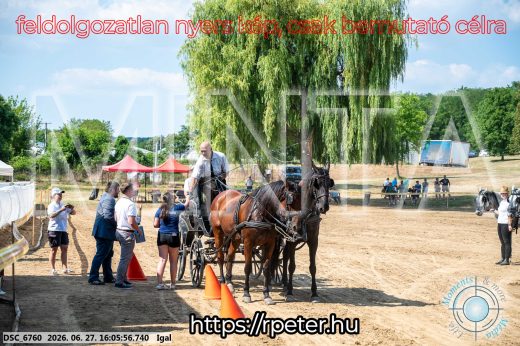 Mintakép 20260627-1863