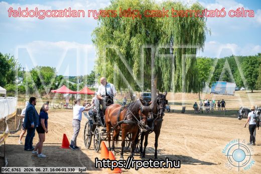 Mintakép 20260627-1864