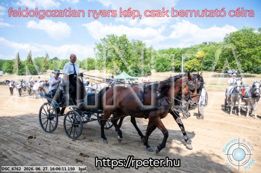 Mintakép 20260627-1865