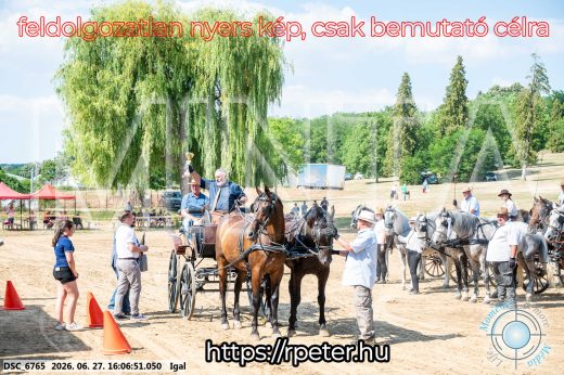 Mintakép 20260627-1868