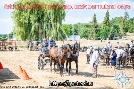 Mintakép 20260627-1871