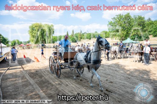Mintakép 20260627-1880