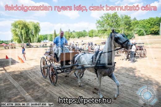 Mintakép 20260627-1881