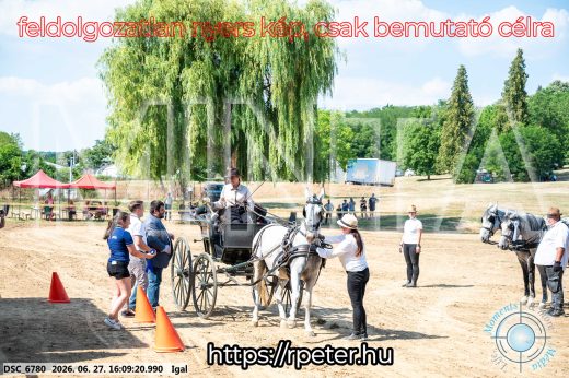 Mintakép 20260627-1883