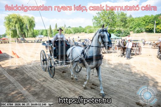 Mintakép 20260627-1886