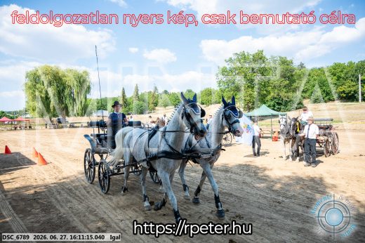 Mintakép 20260627-1891